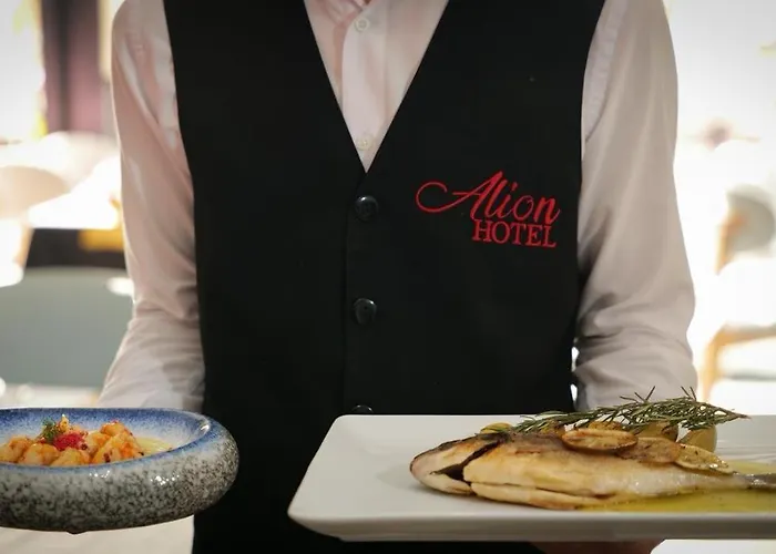 Hotel Alion